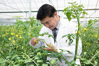 使用放大镜观察植物的农业科学家特写