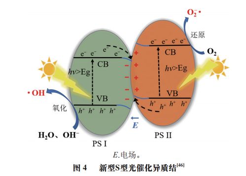 食品科学 上海市农业科学院韩铮研究员等 基于半导体材料的光催化降解真菌毒素研究进展